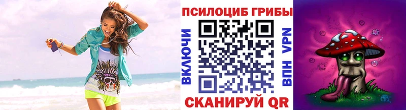 kraken ССЫЛКА Пролетарск Галлюциногенные грибы Cubensis